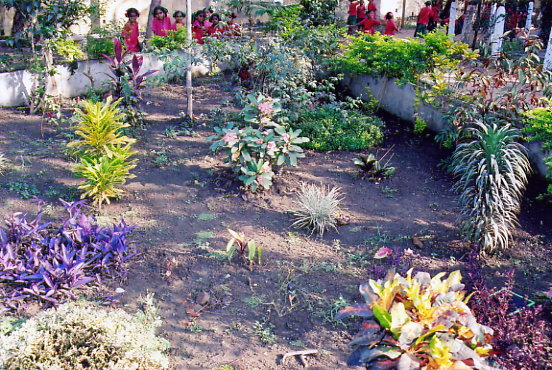 Hebron garden view